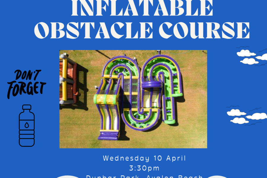 Inflatable Obstacle Course